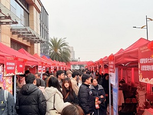 “百米小巷”人潮涌动！RG皇家视讯人力助力2025年武侯区春风行动专场招聘会“开门红” 第5张